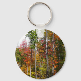 Fall in the Forest Colorful Autumn Photography Keychain