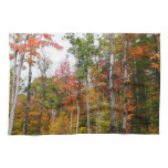 Fall in the Forest Colorful Autumn Photography Kitchen Towel