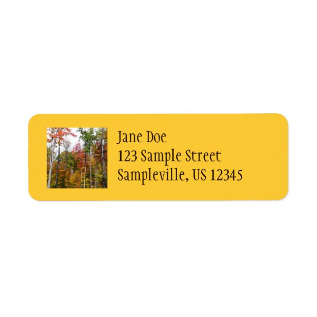 Fall in the Forest Colorful Autumn Photography Label (Front)