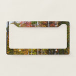 Fall in the Forest Colorful Autumn Photography License Plate Frame
