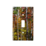 Fall in the Forest Colorful Autumn Photography Light Switch Cover