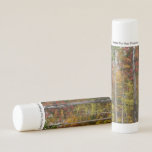 Fall in the Forest Colorful Autumn Photography Lip Balm