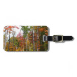 Fall in the Forest Colorful Autumn Photography Luggage Tag
