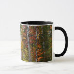 Fall in the Forest Colorful Autumn Photography Mug