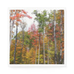 Fall in the Forest Colorful Autumn Photography Napkins