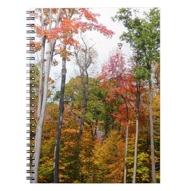 Fall in the Forest Colorful Autumn Photography Notebook (Front)