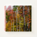 Fall in the Forest Colorful Autumn Photography Notebook