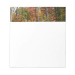 Fall in the Forest Colorful Autumn Photography Notepad
