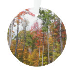 Fall in the Forest Colorful Autumn Photography Ornament