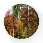 Fall in the Forest Colorful Autumn Photography Paperweight