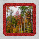 Fall in the Forest Colorful Autumn Photography Patch