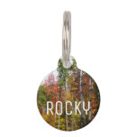 Fall in the Forest Colorful Autumn Photography Pet ID Tag