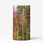 Fall in the Forest Colorful Autumn Photography Pillar Candle