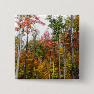 Fall in the Forest Colorful Autumn Photography Pinback Button