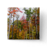Fall in the Forest Colorful Autumn Photography Pinback Button