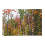 Fall in the Forest Colorful Autumn Photography Placemat