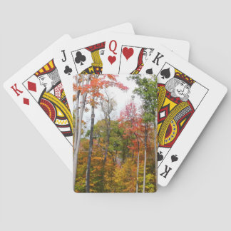 Fall in the Forest Colorful Autumn Photography Poker Cards