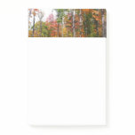 Fall in the Forest Colorful Autumn Photography Post-it Notes