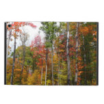 Fall in the Forest Colorful Autumn Photography Powis iPad Air 2 Case