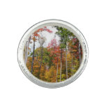 Fall in the Forest Colorful Autumn Photography Ring
