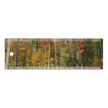 Fall in the Forest Colorful Autumn Photography Ruler