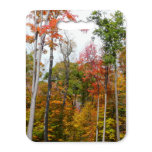 Fall in the Forest Colorful Autumn Photography Seat Cushion
