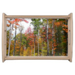 Fall in the Forest Colorful Autumn Photography Serving Tray