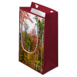 Fall in the Forest Colorful Autumn Photography Small Gift Bag