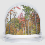 Fall in the Forest Colorful Autumn Photography Snow Globe