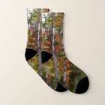 Fall in the Forest Colorful Autumn Photography Socks