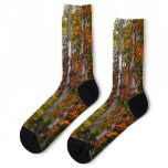 Fall in the Forest Colorful Autumn Photography Socks
