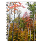 Fall in the Forest Colorful Autumn Photography Spiral Notebook