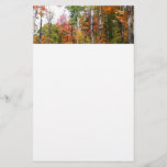Fall in the Forest Colorful Autumn Photography Stationery