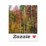 Fall in the Forest Colorful Autumn Photography Sticker
