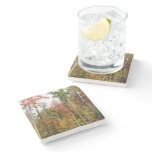 Fall in the Forest Colorful Autumn Photography Stone Coaster