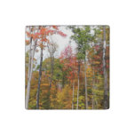 Fall in the Forest Colorful Autumn Photography Stone Magnet