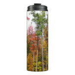 Fall in the Forest Colorful Autumn Photography Thermal Tumbler