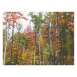 Fall in the Forest Colorful Autumn Photography Tissue Paper