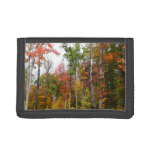 Fall in the Forest Colorful Autumn Photography Tri-fold Wallet