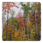 Fall in the Forest Colorful Autumn Photography Trivet