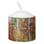 Fall in the Forest Colorful Autumn Photography Votive Candle