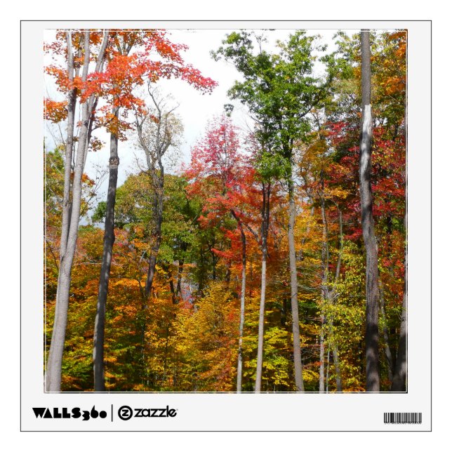 Fall in the Forest Colorful Autumn Photography Wall Sticker (Front)