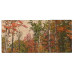 Fall in the Forest Colorful Autumn Photography Wood Flash Drive