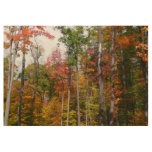 Fall in the Forest Colorful Autumn Photography Wood Poster