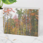 Fall in the Forest Colorful Autumn Photography Wooden Box Sign