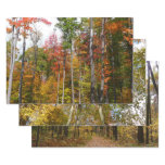 Fall in the Forest Colorful Autumn Photography Wrapping Paper Sheets
