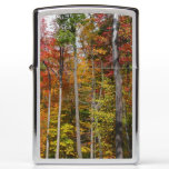 Fall in the Forest Colorful Autumn Photography Zippo Lighter