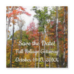 Fall in the Forest Colorful Autumn Save the Date