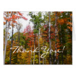 Fall in the Forest Thank You (Blank Inside) Cards