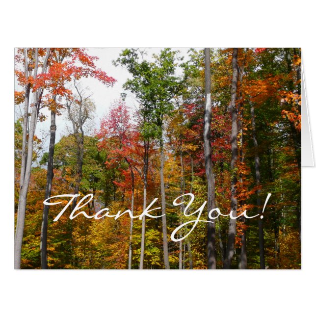 Fall in the Forest Thank You (Blank Inside) Cards (Front Horizontal)